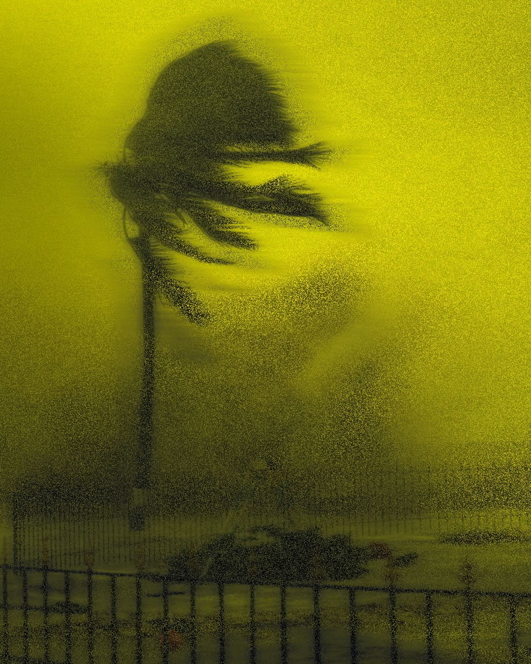 Not the Same Storm: Caste, Calamity, and the Ethics of Rescue