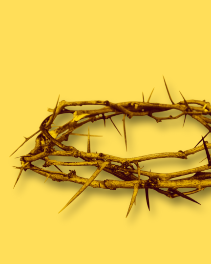 The Church Divided: The Operation of Caste in Indian Christianity